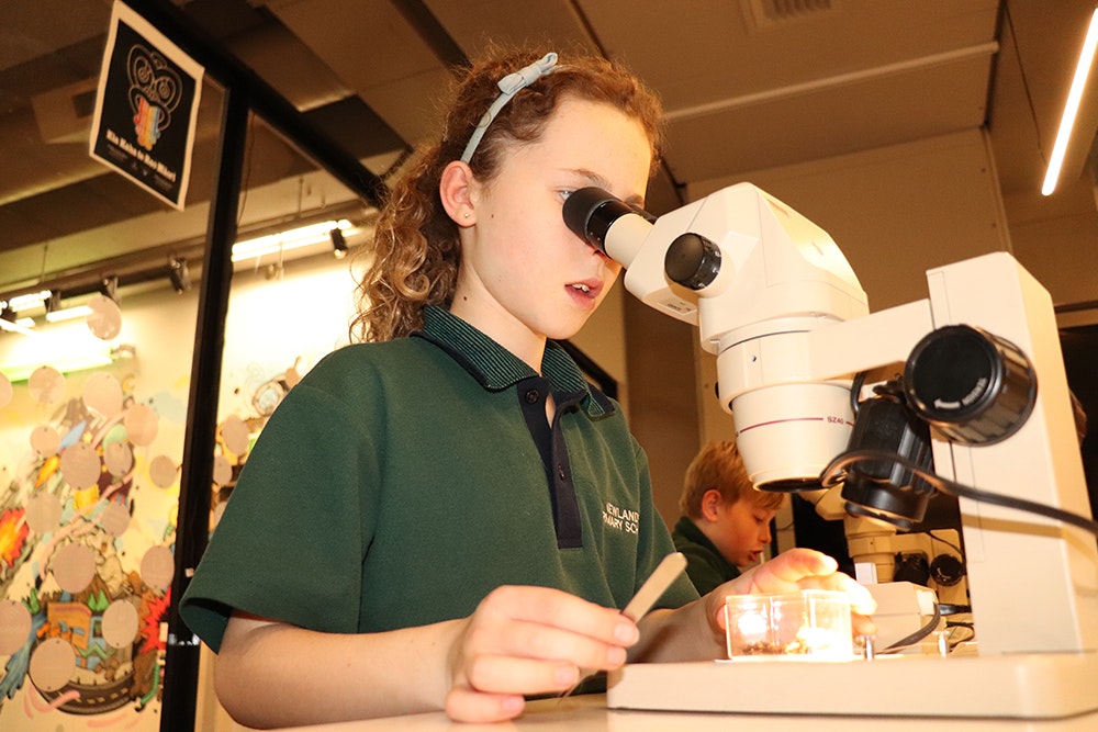 A young girl is looking down through a microscope in a science room.