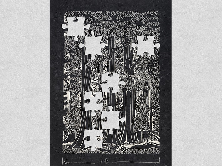 Forest Scene, by Nancy Adams CBE. Purchased 2007. CC BY 4.0. Te Papa (CA000888/027/0002) An image of a black and white wood cut of a forest scene with jigsaw shapes missing from it.