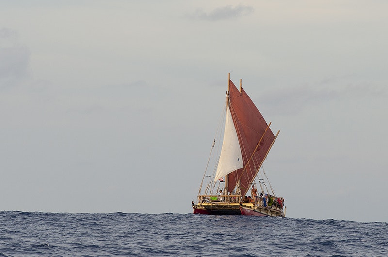 A double-hulled boat is sailing on the sea. One sail is white the rest are red.