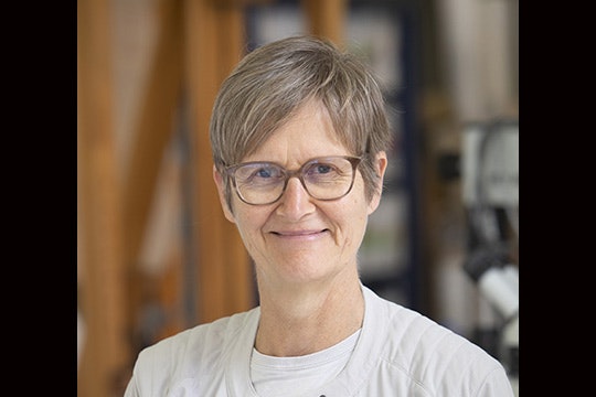 Head and shoulders of a woman smiling at the camera