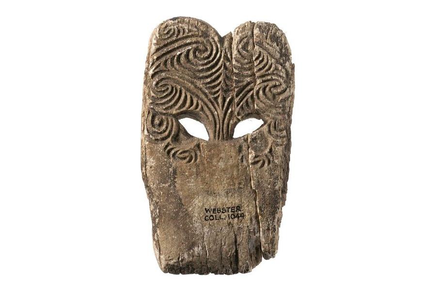 Te poro o tētahi parāoa roa.