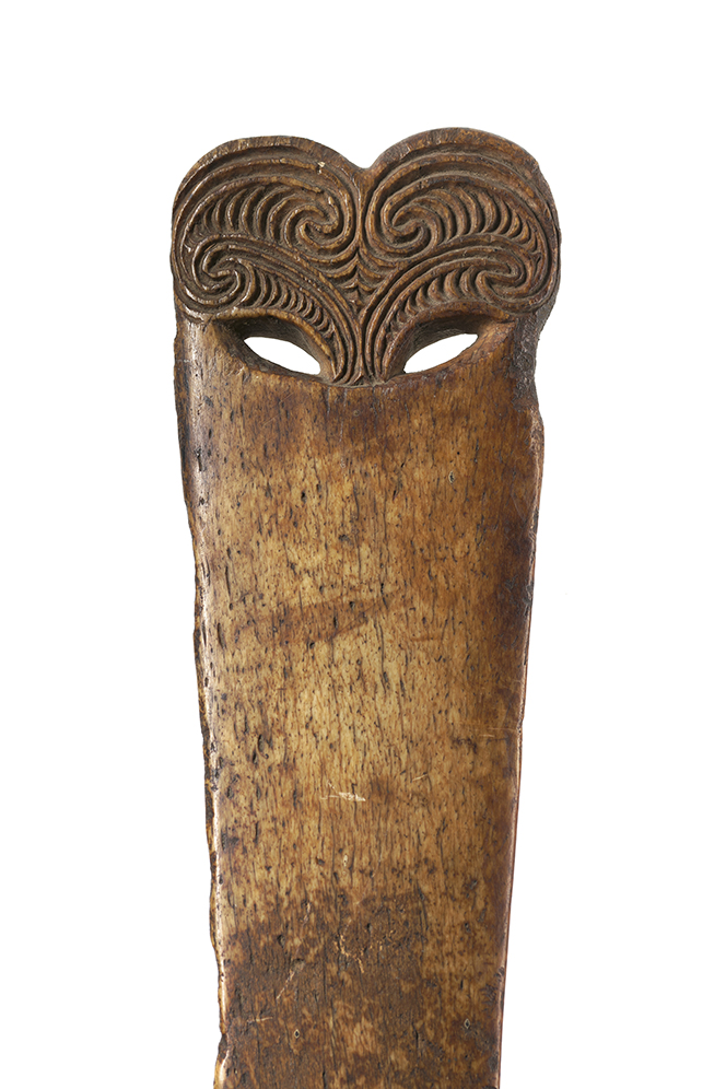 Te poro o tētahi parāoa roa.