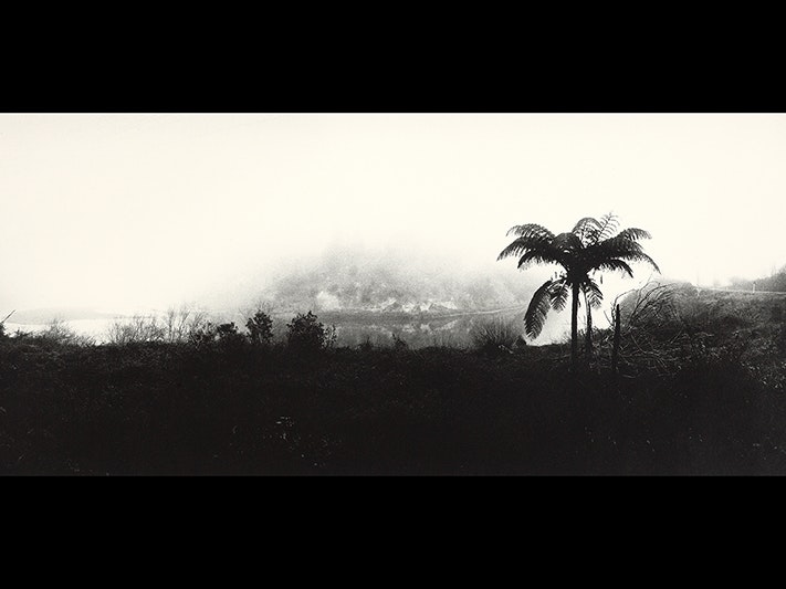 Hiruharama (Jerusalem). From the portfolio: The Wanganui - 12 Panoramas, 1982, by Anne Noble. Purchased 1984 with Harold Beauchamp Collection funds. Te Papa (O.002363) A moody monochromatic photo of a tall fern above a lower misty forest.