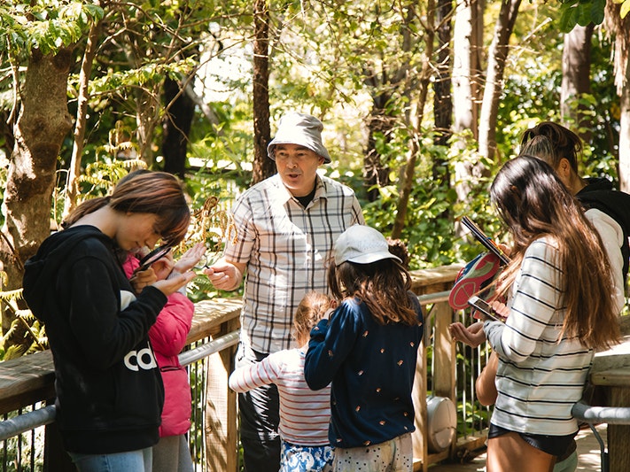 Whānau Day with DOC, 2020. Photo by Abbie Dorrington. Te Papa (162347) A man in a hat is talking to some children while standing on a bridge in a forest.