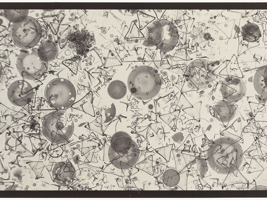 Wayne Barrar, Strew from 'Fos. Marine, Jors, Jutland'. Slide made by M Rasmussen (NY), c. 1885 (bright field illumination variant), albumen print, 2014. Te Papa (O.049372) A flat image of lots of discs and triangles and lines in a chaotic monochrome beige assembly.