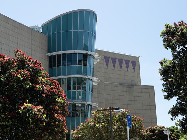 Te Papa building exterior, 2021. Photo by Michael O'Neill. Te Papa (172495) A photo of a large building showing no windows except a cone-like section in the middle of the wall entirely made of glass. The building is surrounded by flowering pohutukawa trees.