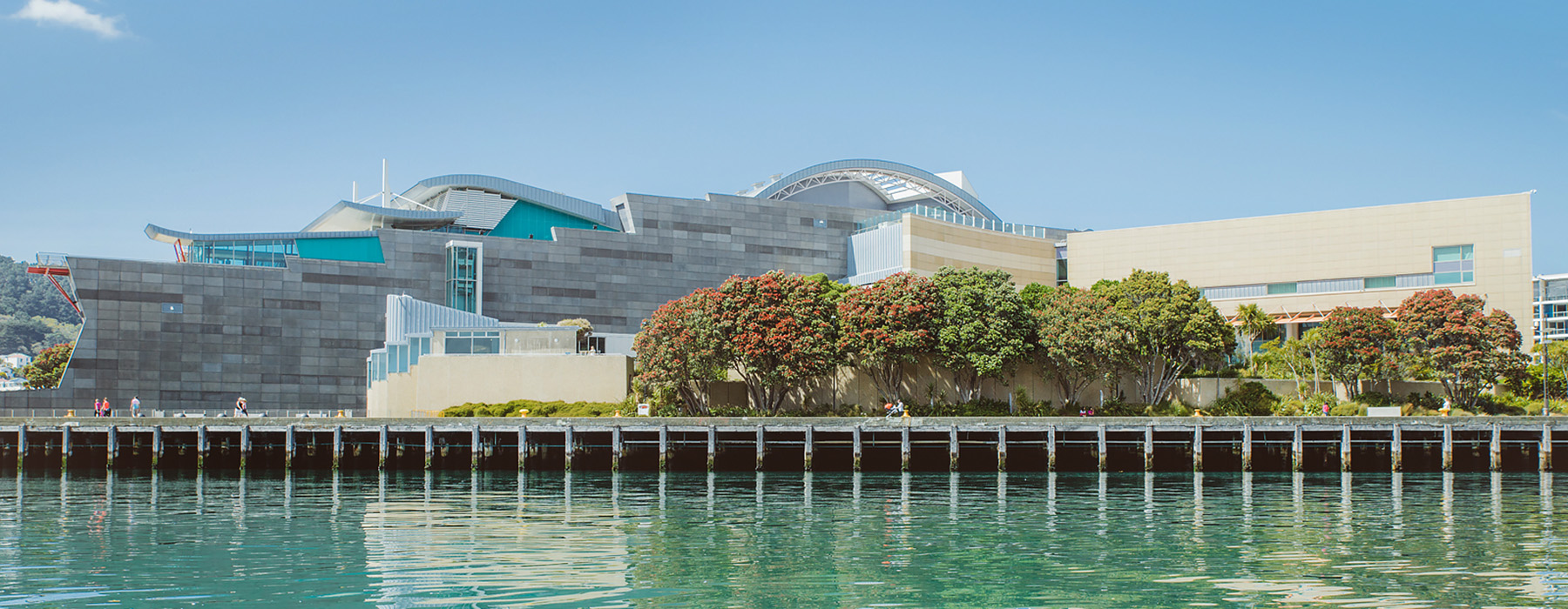 A view of Te Papa from the wharf on the other part of the harbour. There are pōhutukawa trees in flower in front of the building and it is a sunny day.