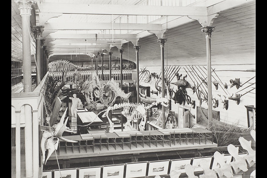 A black and white photo showing a crowded high-ceiling room with lots of museum artefacts in it.