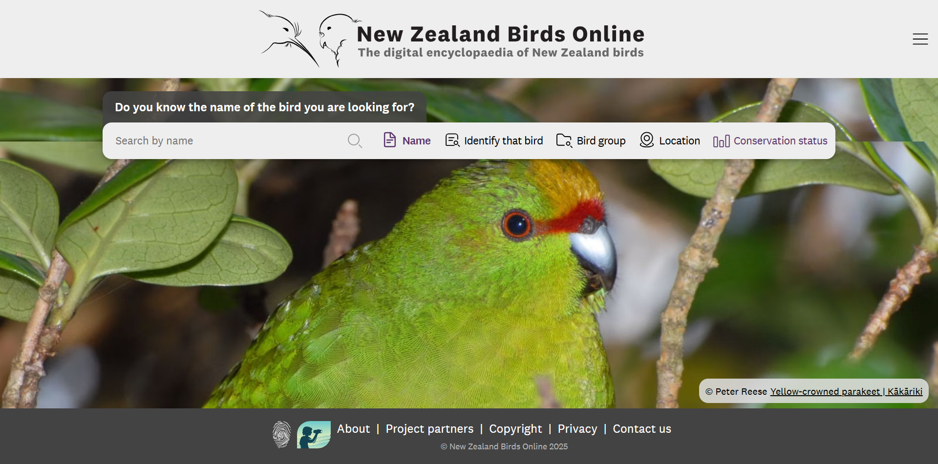 An image of the NZ Birds Online homepage, containing a search box and a background image of a Kākāriki