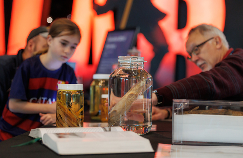 Photo of family examining fish specimens in 3 glass jars in the Wellington foyer. A book is in the foreground, the child and 2 adults are out of focus in the background.