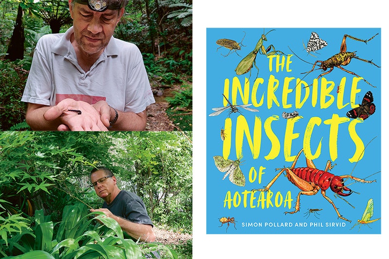 Composite photo of two men inspecting insects in the wild and a book cover.