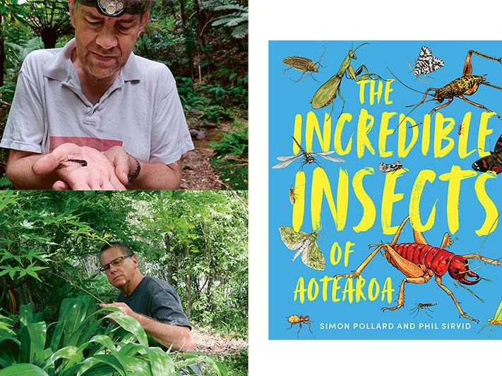 Phil Sirvid, Simon Pollard, and book cover for The Incredible Insects of Aotearoa Composite photo of two men inspecting insects in the wild and a book cover.