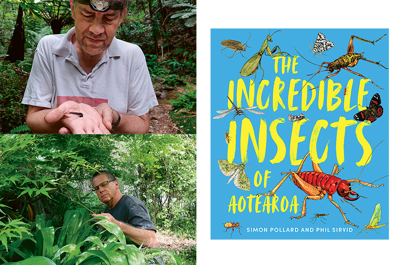 Composite photo of two men inspecting insects in the wild and a book cover.