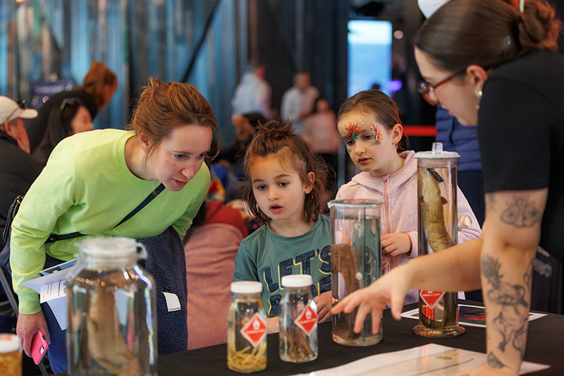 Two children and an adult closely examine preserved specimens in jars at an event with a museum kaimahi (staff member) explaining the display.