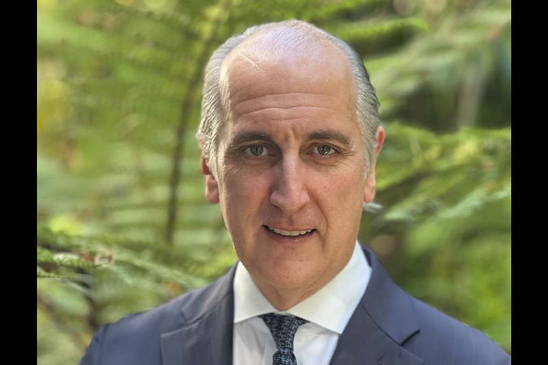 Head and shoulders of a man in a blue suit standing in front of green ferns.