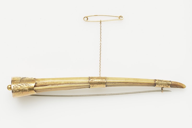 A brooch made from the beak of a bird with gold fixings and a small gold chain.