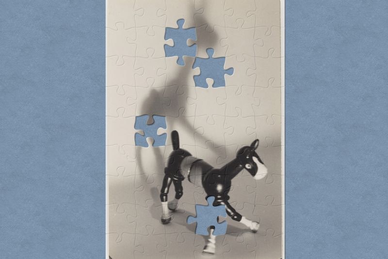 A black and white photo of a articulated horse toy and it's shadow. It has jigsaw-shaped pieces missing.