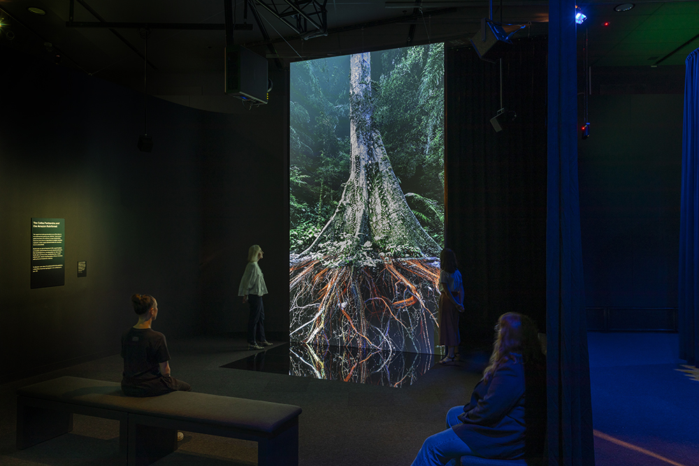 Four people are sitting and standing before a tall screen showing the base of a tree and its root system. They are all in a large gallery room.