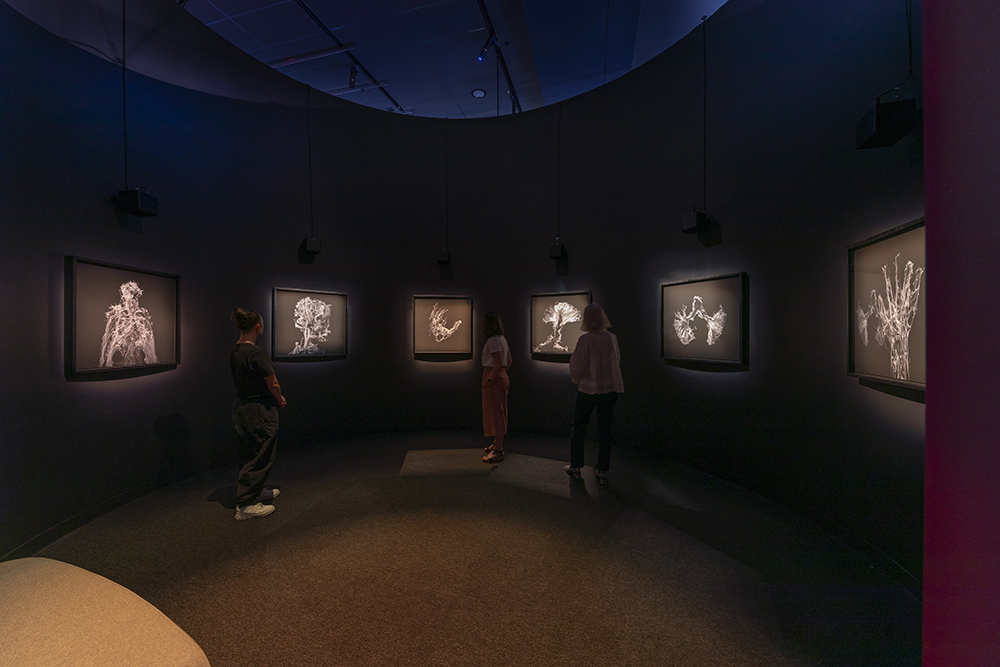 Three people are in a room with six smaller screens at head height. Each screen has a different image on it that look like cells in lungs or plants.