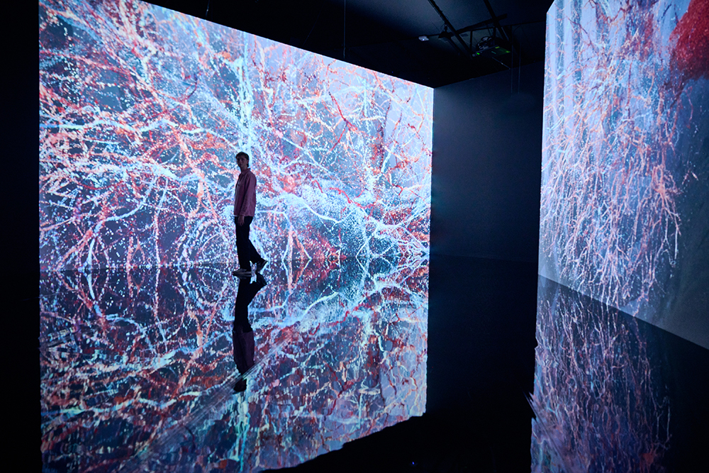 A person is silhouetted against a large screen with a video of interconneted lines and dots that looks a bit like arteries in pink and blue.