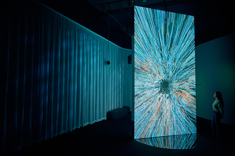 Exhibition installation photo.