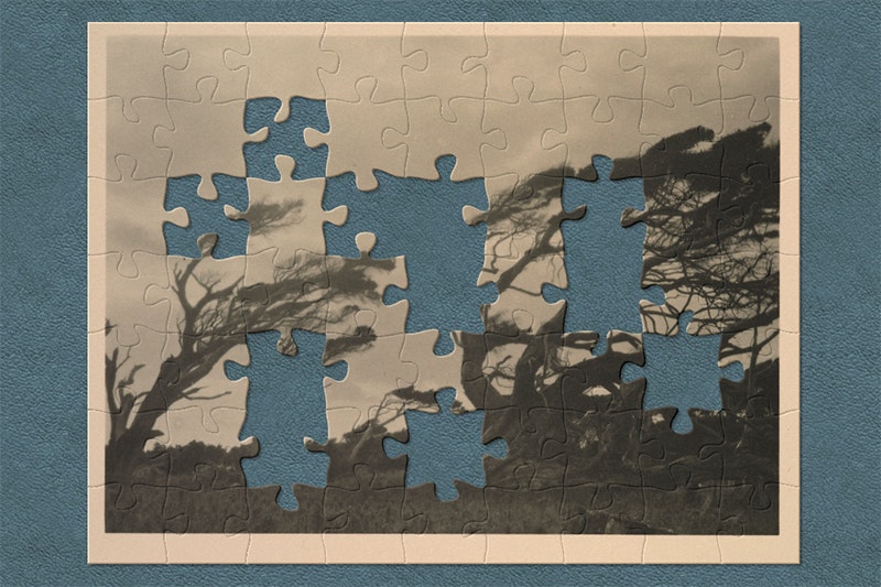 A screenshot of a photo of trees in the wind with jigsaw pieces cut out of it.