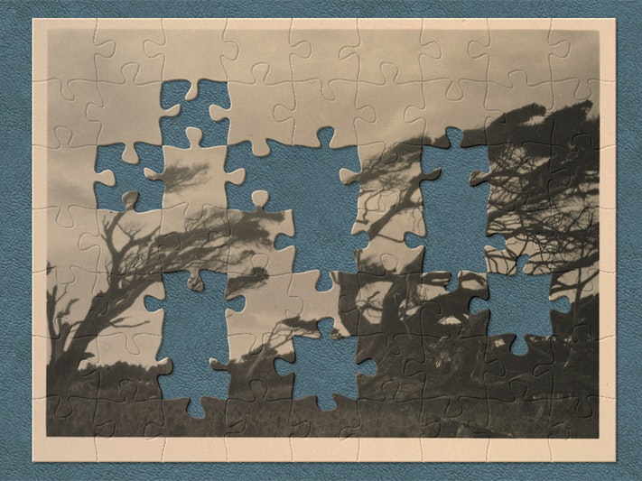 The prevailing wind on the Wilson Property, Invercargill, circa 1924, Auckland, by Una Garlick. Purchased 1999 with New Zealand Lottery Grants Board funds. Te Papa (O.027300) A screenshot of a photo of trees in the wind with jigsaw pieces cut out of it.
