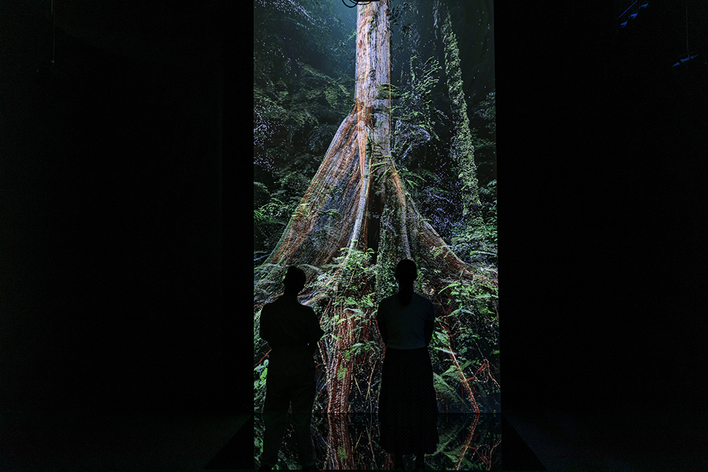 Four people are sitting and standing before a tall screen showing the base of a tree and its root system. They are all in a large gallery room.