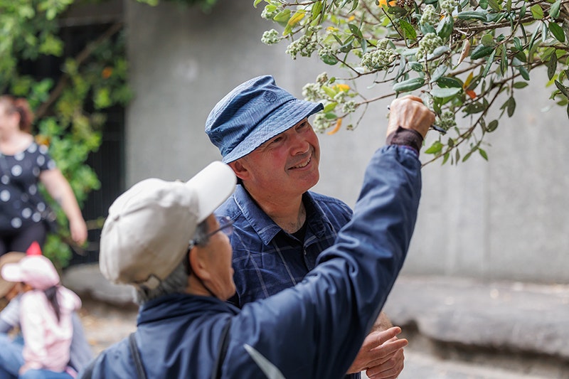 Two men are looking closely at the green leaves on the branches of a tall plant. One has his back to the camera and his arm extended to touch the leaf, the other faces the camera and is smiling at the part of the plant that is being touched.