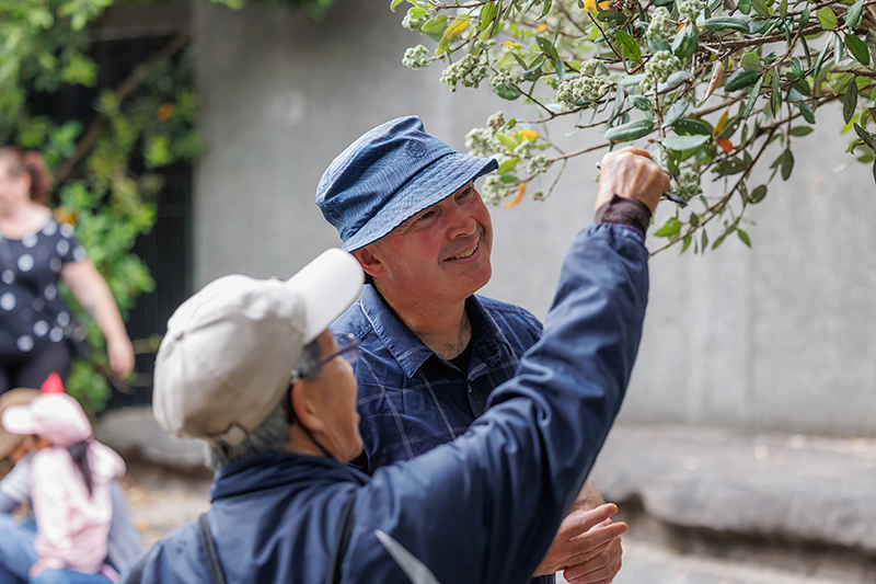 Two men are looking closely at the green leaves on the branches of a tall plant. One has his back to the camera and his arm extended to touch the leaf, the other faces the camera and is smiling at the part of the plant that is being touched.