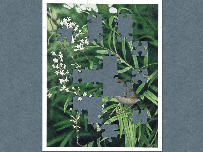 Jigsaw of Bush Wren / Matuhi. Xenicus longipes. From the series: Extinct Birds of New Zealand., 2003, Masterton, by Paul Martinson. Purchased 2006. © Te Papa. CC BY-NC-ND 4.0. Te Papa (2006-0010-1/4) An image of a painting of grass with jigsaw shapes missing from it.