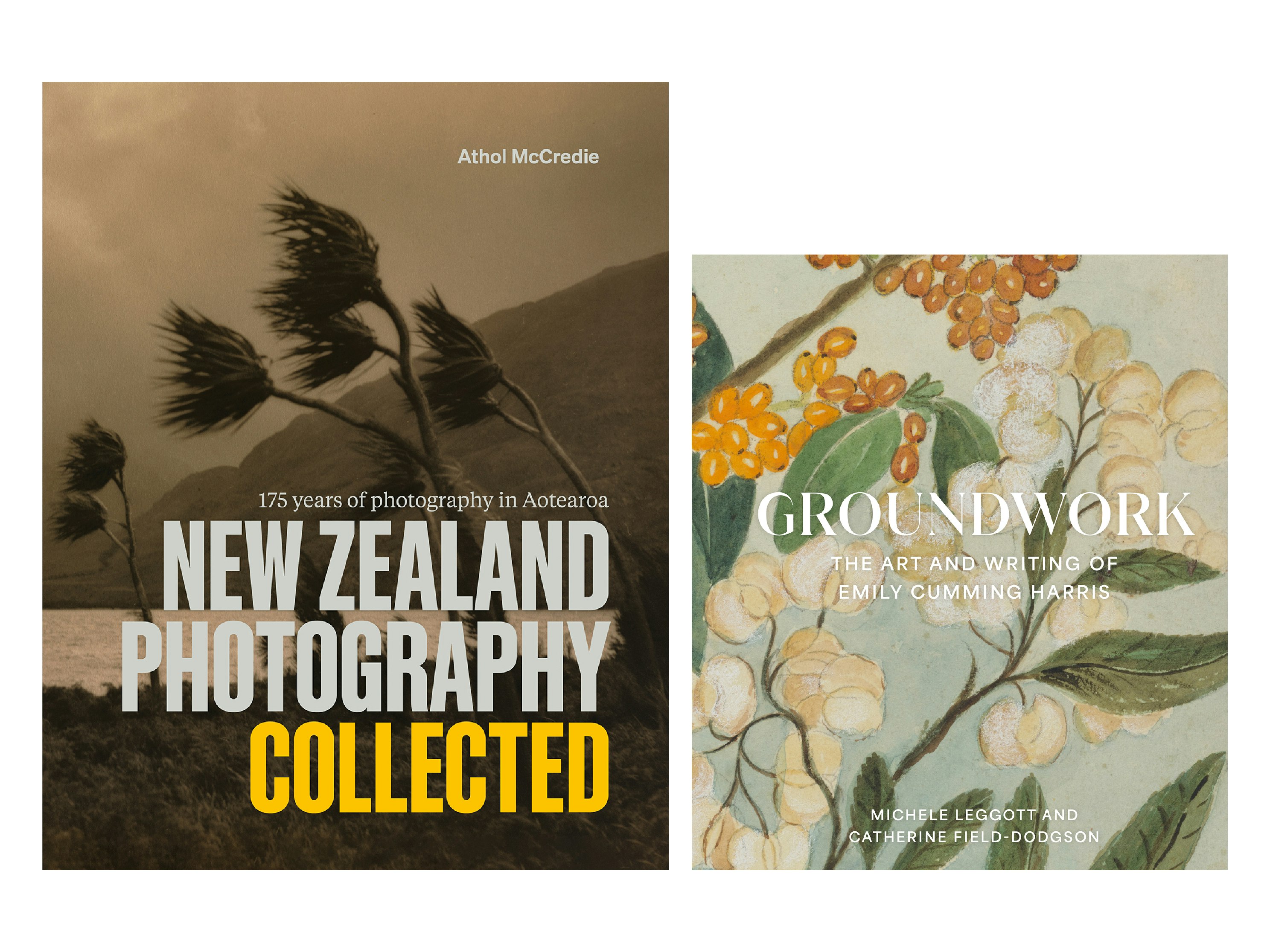 Two book covers on a white background