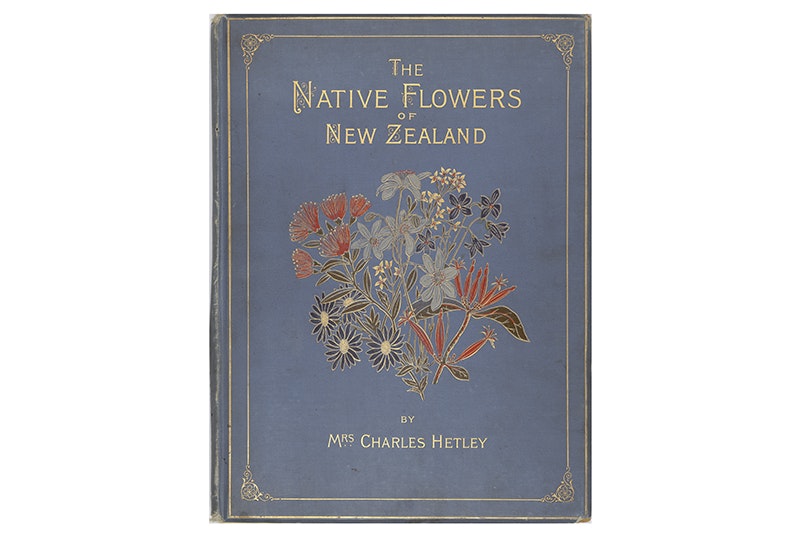 A book cover from 1888 with the title in gold print and a botanical illustration in the middle. The rest of the cover is blue.