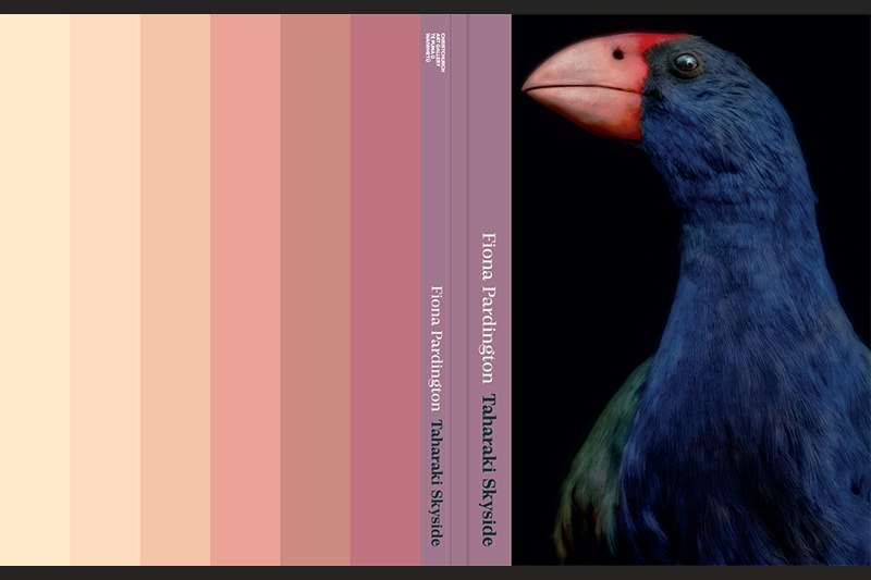 A colour pallete is on the left-hand side, and a taxidermied tākahe bird is on the right.