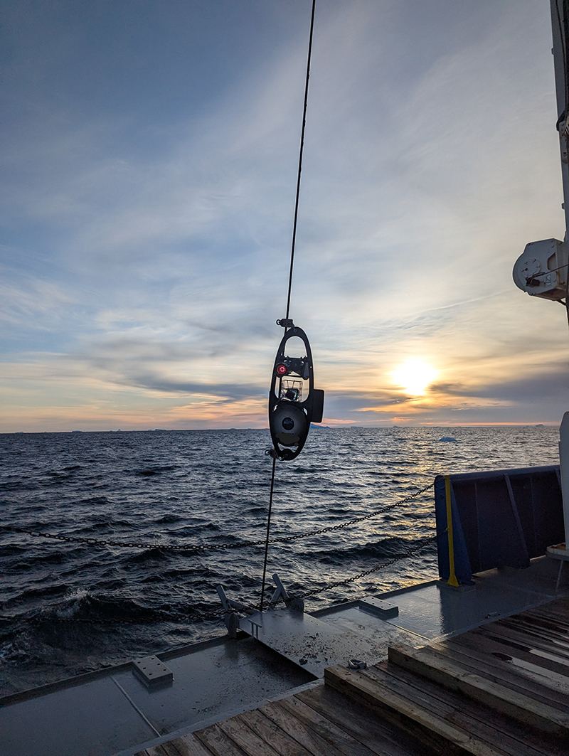 Project ESCA – Antarctic Bioluminescence | Te Papa