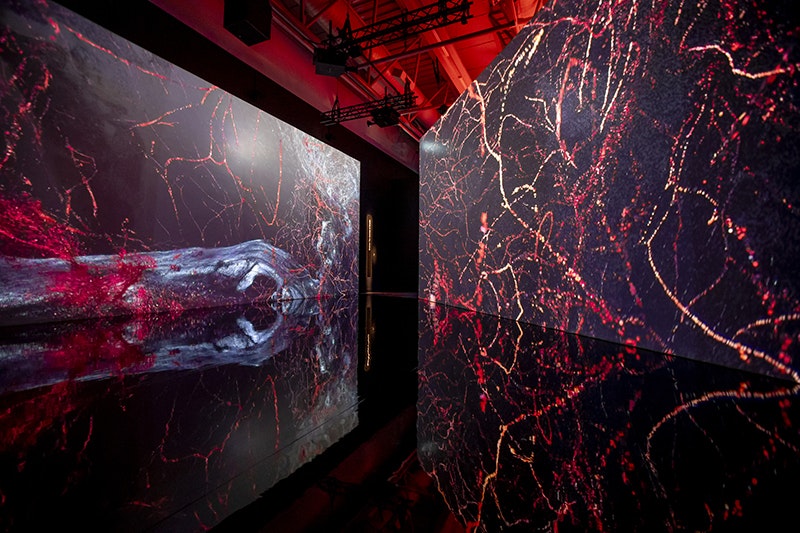 An istallation photo of large digital screens showing an abstract video.