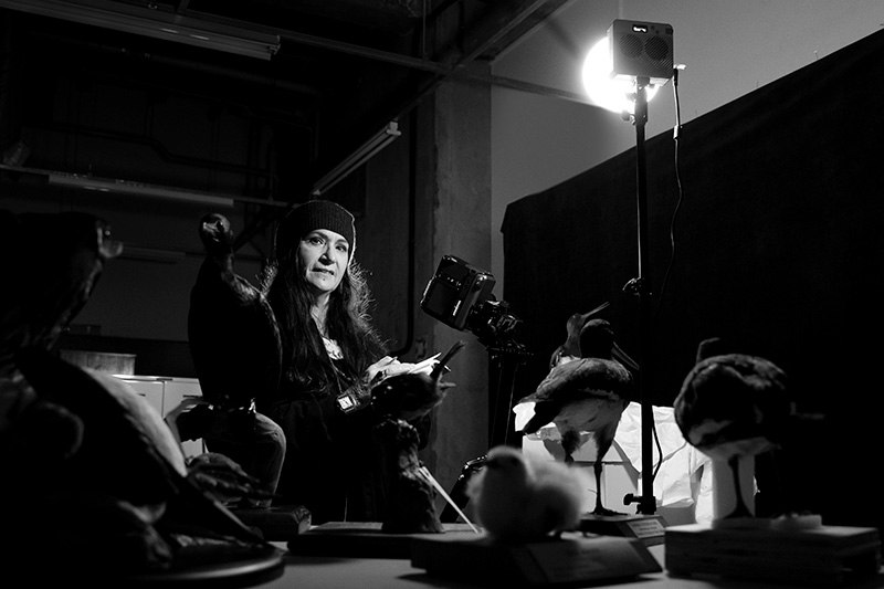 A black and white photo of a woman standing in a dark room surrounded by taxidermied birds.