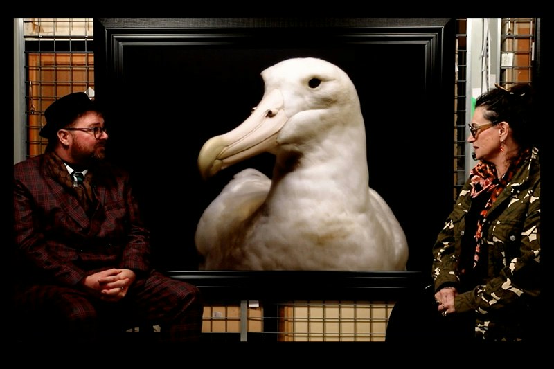 Two people are sitting facing the camera, but talking to each other in front of a large photo of an albatross.