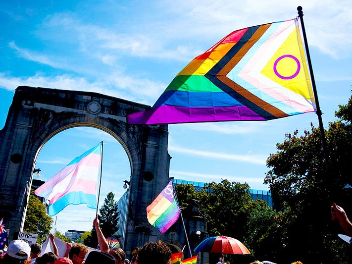 Pride flags at the "Walk for Support" opening event, Ōtautahi Christchurch, 2025. Photo by David Palmer. CC BY-SA 4.0 Crowd walks past the Bridge of Remembrance and Memorial Arch in Christchurch on a sunny day, only the tops of their heads and hats are in frame. Upraised arms wave the Progressive Pride flag, the transgender pride flag, the lesbian pride flag, the New Zealand flag and a rainbow striped umbrella. The sun shines through the flags.