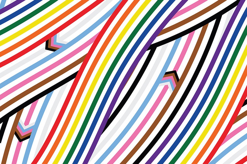 A rainbow of stripes curve and overlap to symbolise te awa (river) current, with arrows swimming like ika (fish) through the colours. Each colour evokes the Progressive Pride flag, with the 6 bold stripes from rainbow pride flag, the white, pink and blue from the transgender flag, yellow and purple from the intersex flag and stripes of brown and black to represent marginalised People of Colour.