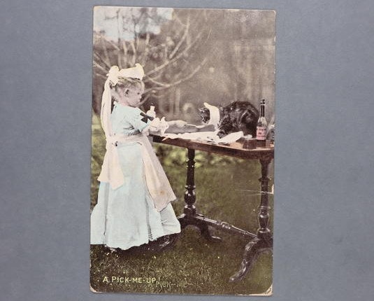 Postcard showing a girl outdoors before a table where a cat with a neck guard on is sitting.