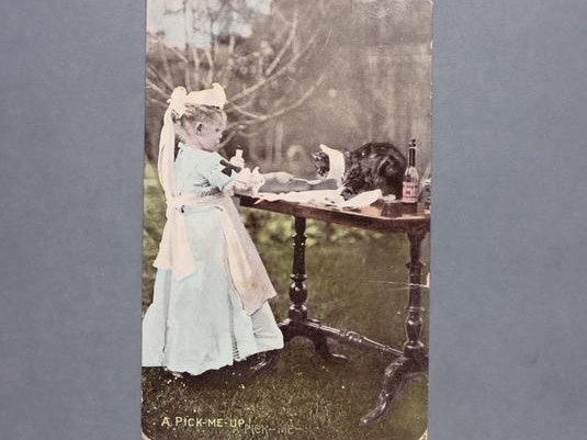Postcard: A Pick-Me-Up. From the Canterbury Museum. No known copyright restrictionscollection Postcard showing a girl outdoors before a table where a cat with a neck guard on is sitting.