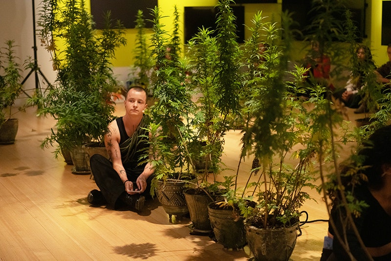 A person in a black singlet and black trousers is sitting cross-legged on a wooden floor with large potplants in a line in front of them and one behind. There are seated people watching in the background.