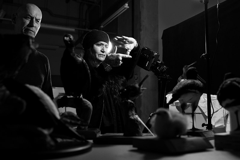 Two people are in a dark museum store. The woman is framing up a taxidermied bird to take a photograph, the man is looking on.