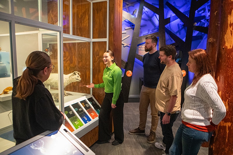 A woman in a green shirt is talking about a taxidermied dog on display in a museum case to four people who are standing around her.