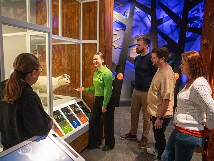 Te Papa Tours, 2025. Photo by Jeff McEwan. Te Papa (272434) A woman in a green shirt is talking about a taxidermied dog on display in a museum case to four people who are standing around her.