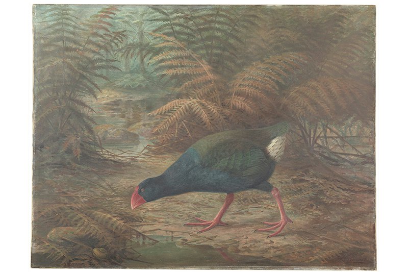 A painting of a takahė looking for food in a bushy setting.