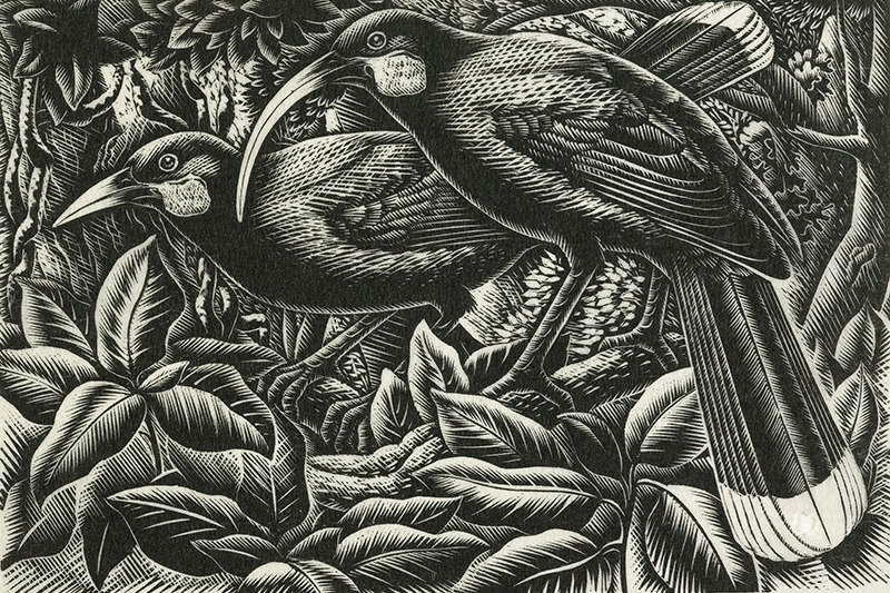 Print of two birds