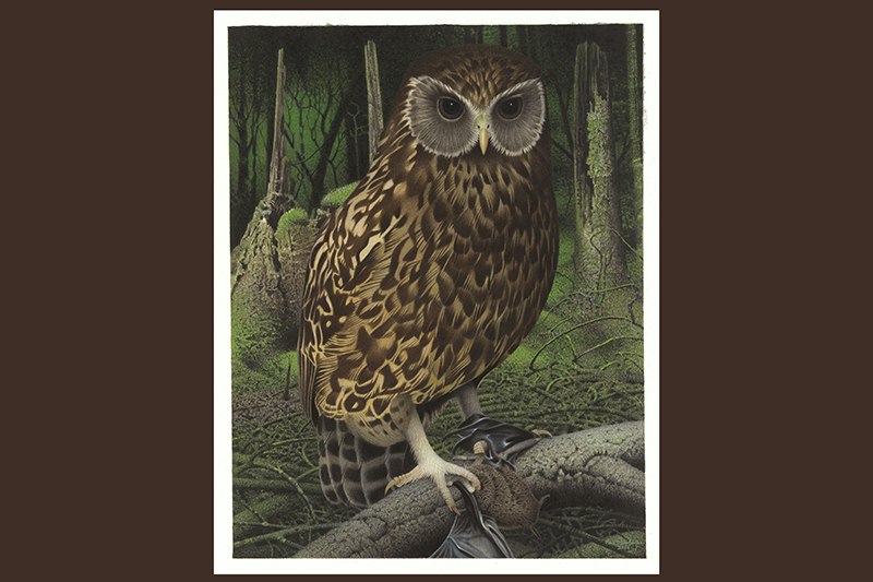 Painting of an owl in the forest