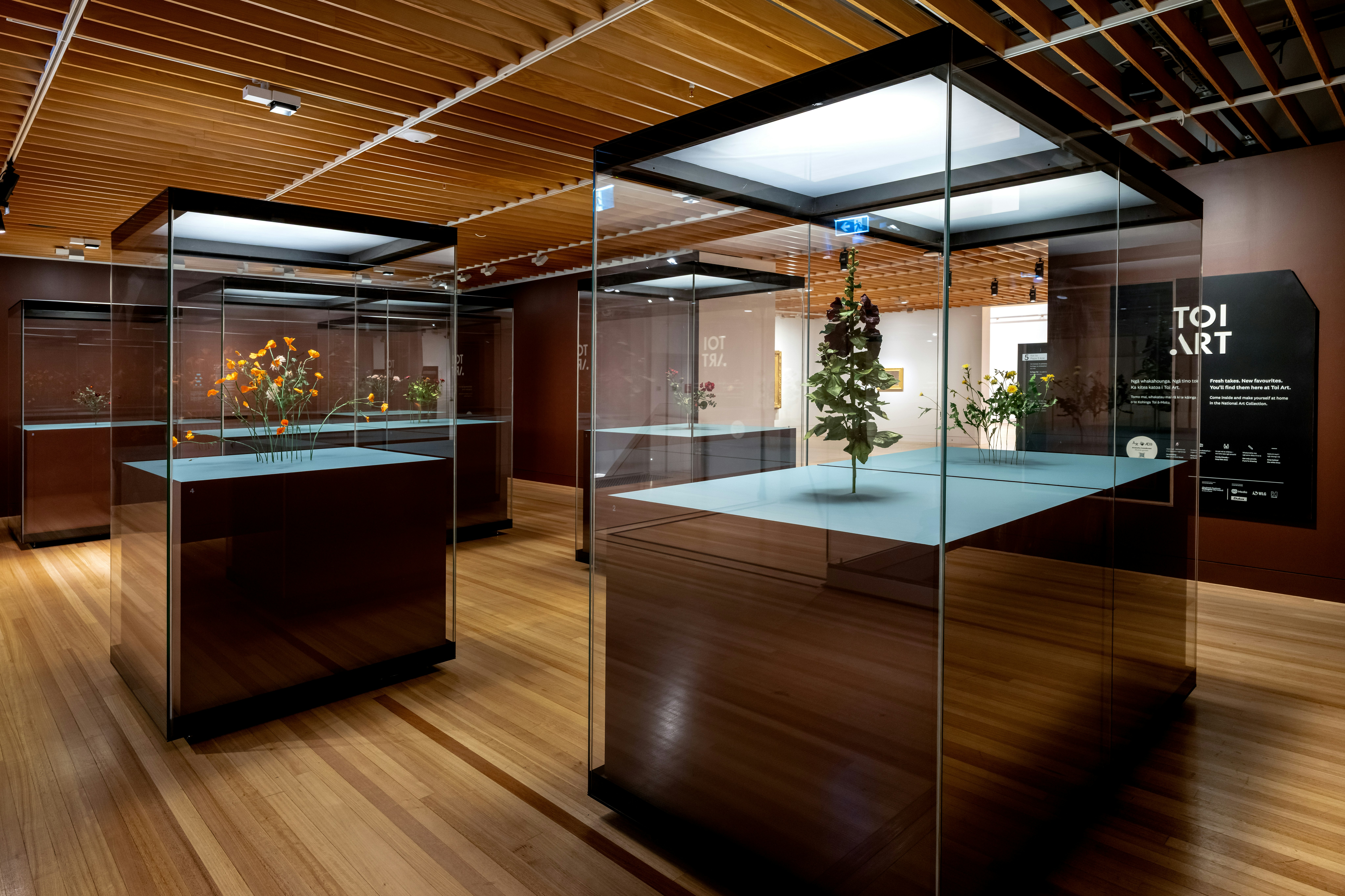 Glass cases on stands each with a display of flowers that a made by an artist.